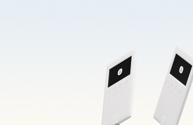 OneKey Classic 1S Pure